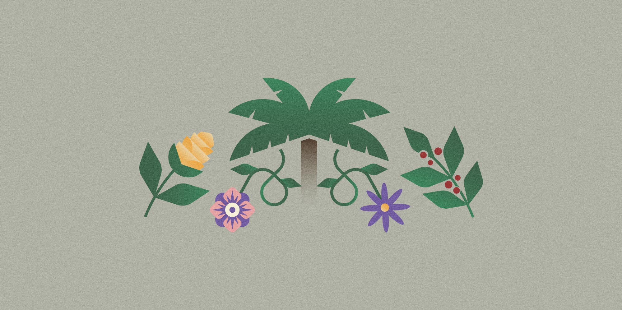 ilus_plantas